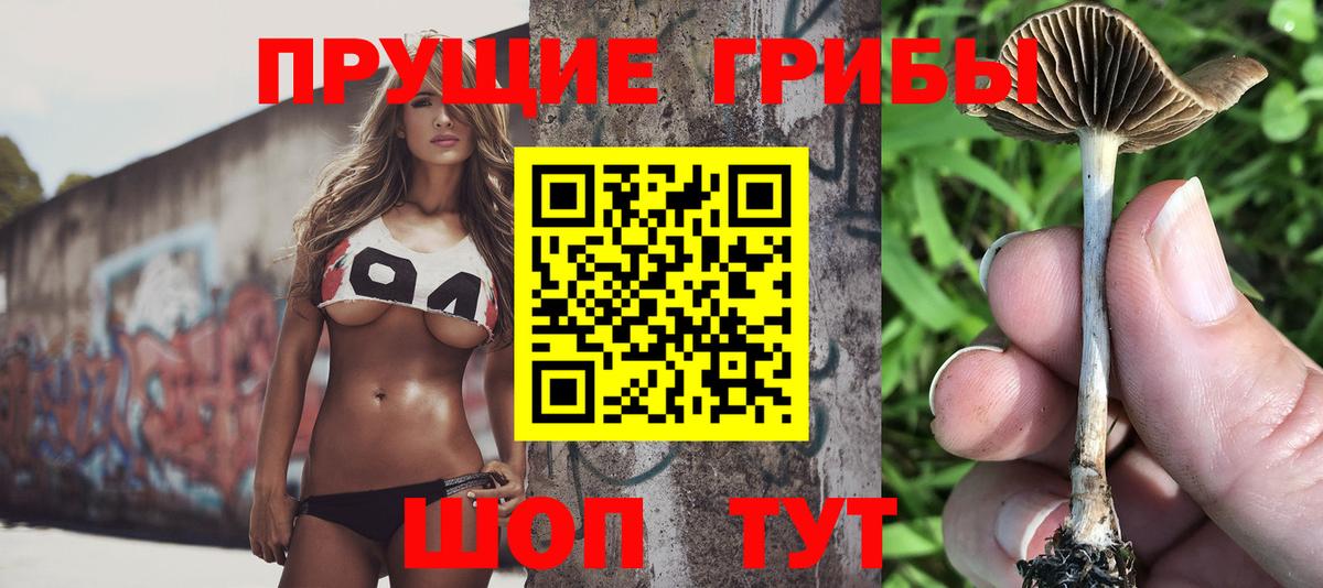 Псилоцибиновые грибы Psilocybe Ростов-на-Дону