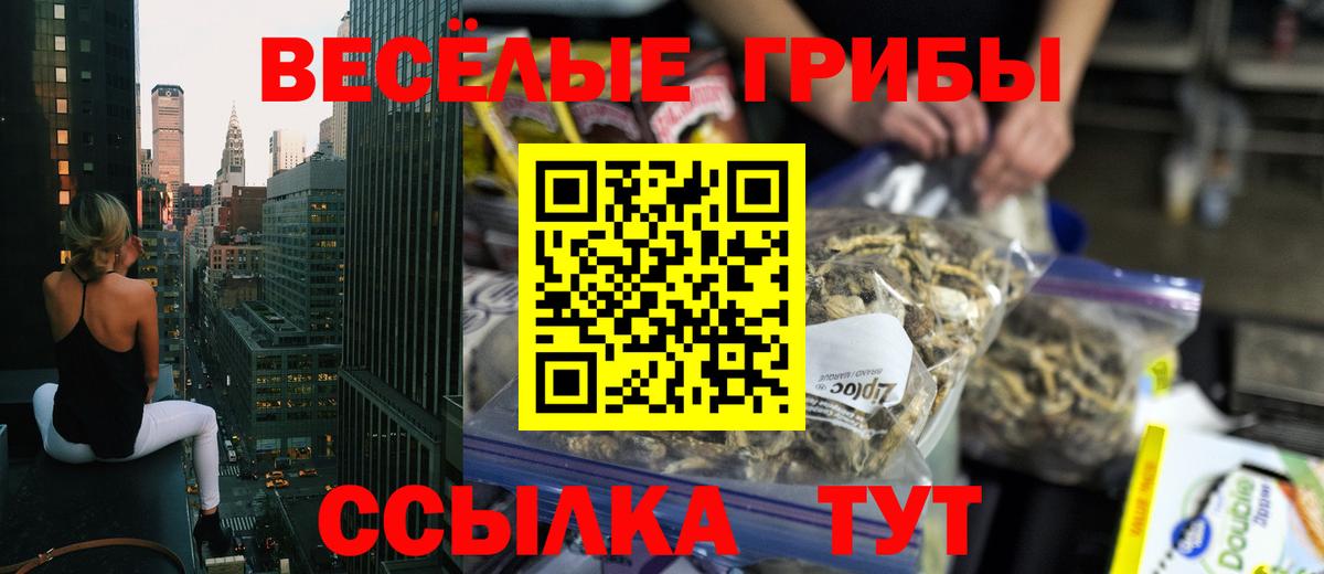 Галлюциногенные грибы мицелий  Вход с VPN  Ростов-на-Дону 